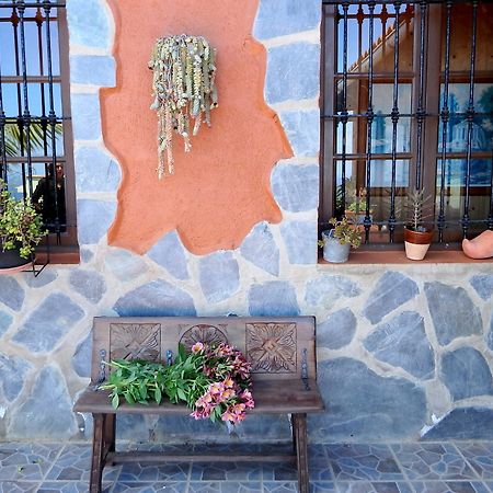 Finquita La Villa Icod De Los Vinos Exterior foto