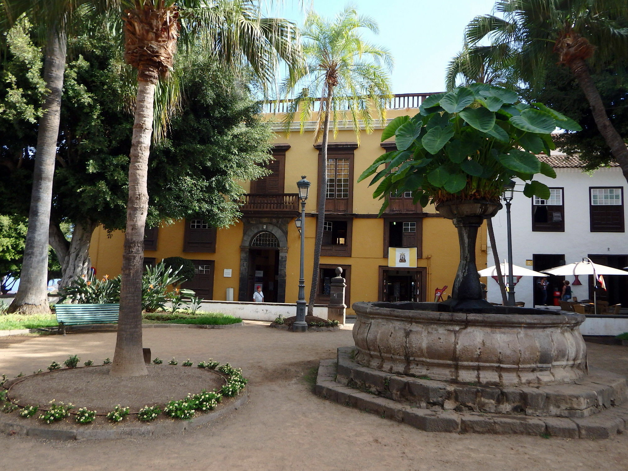 Finquita La Villa Icod De Los Vinos Exterior foto