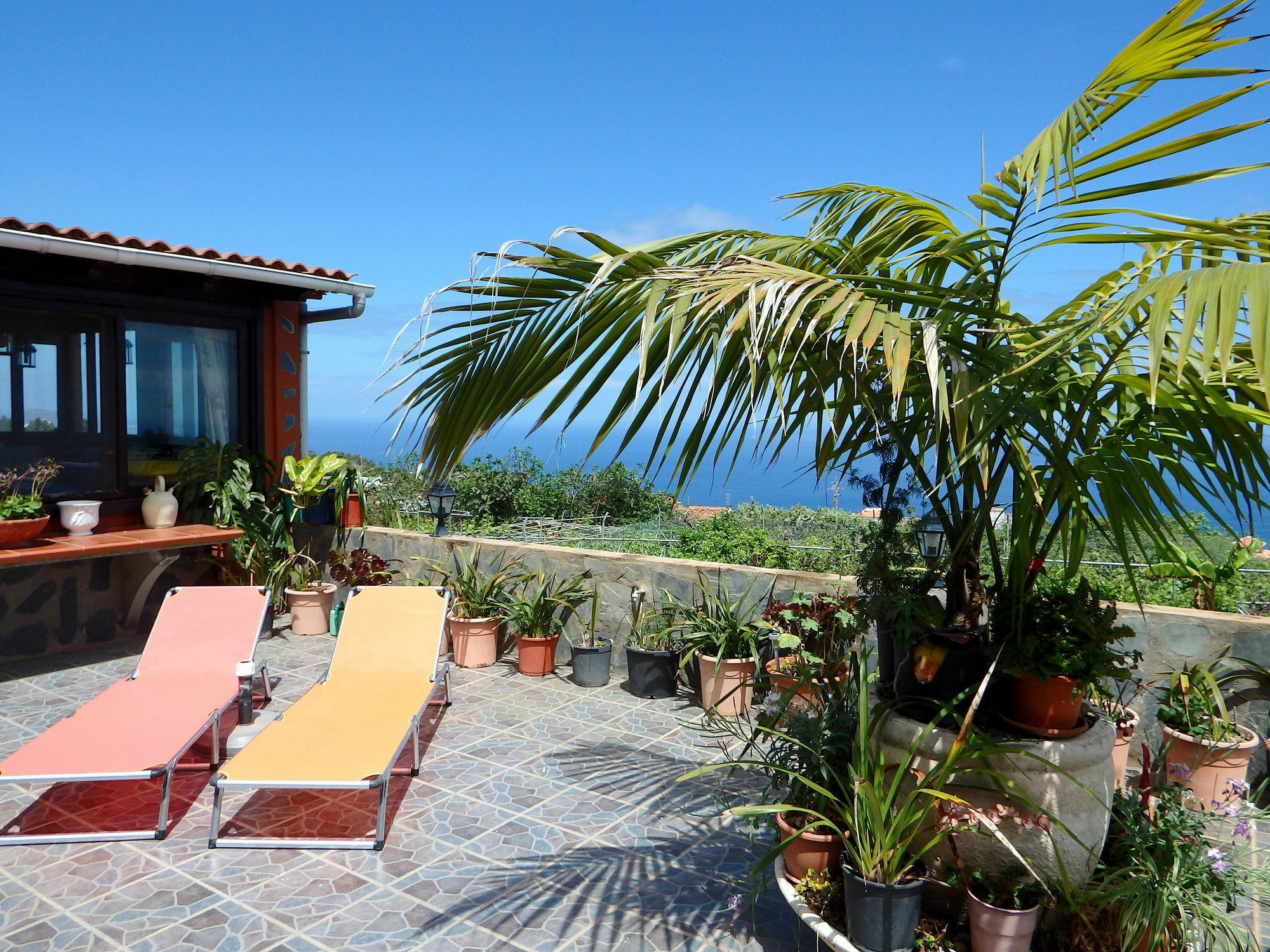 Finquita La Villa Icod De Los Vinos Exterior foto
